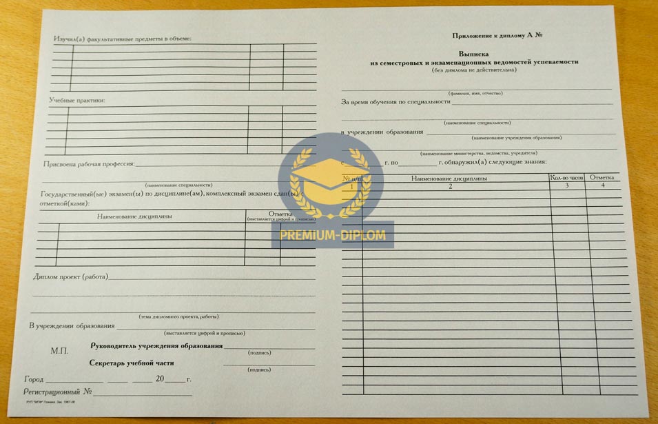 Специалист, Бакалавр, Магистр с 2011 года (Беларусь) - фото
